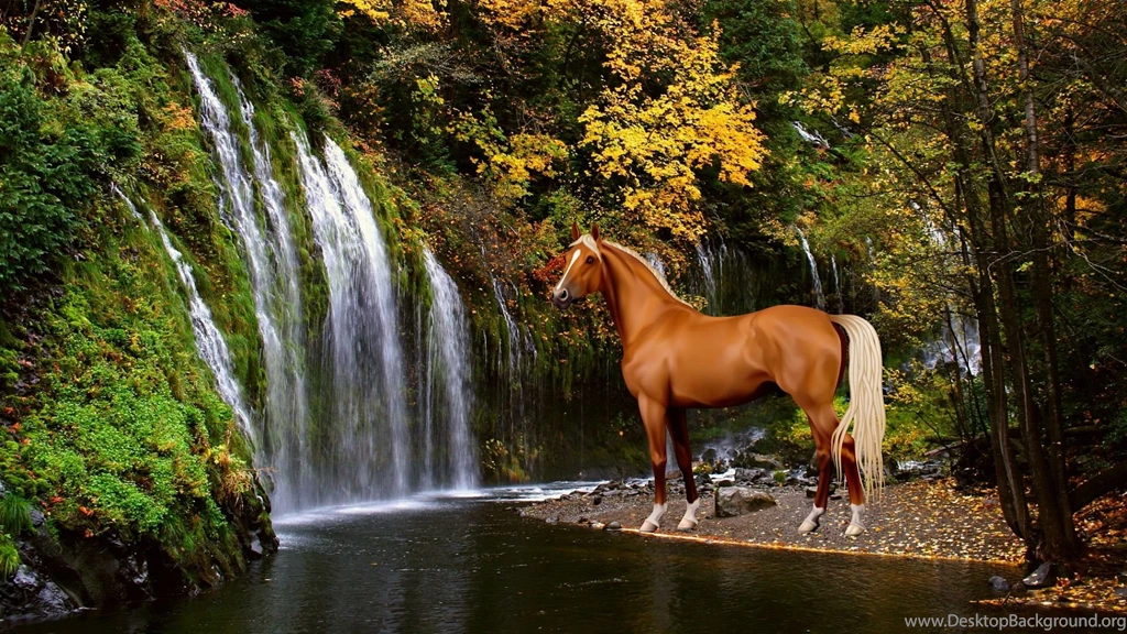 Golden palomino horse hd wallpapers.jpg