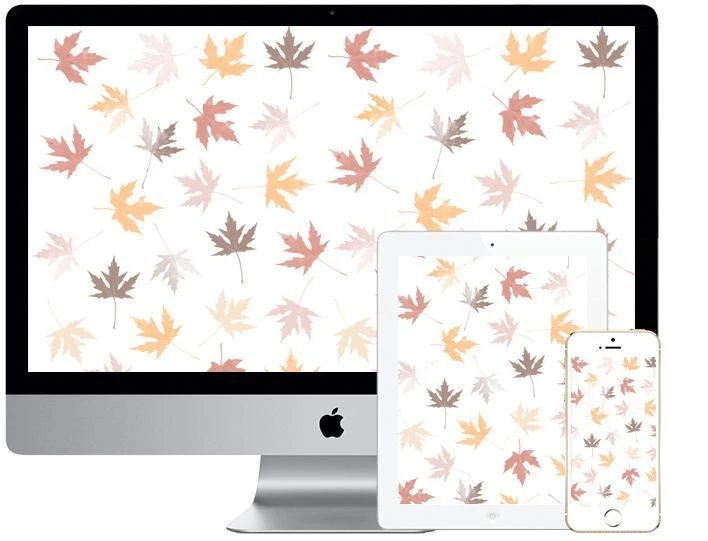 Fall Wallpapers