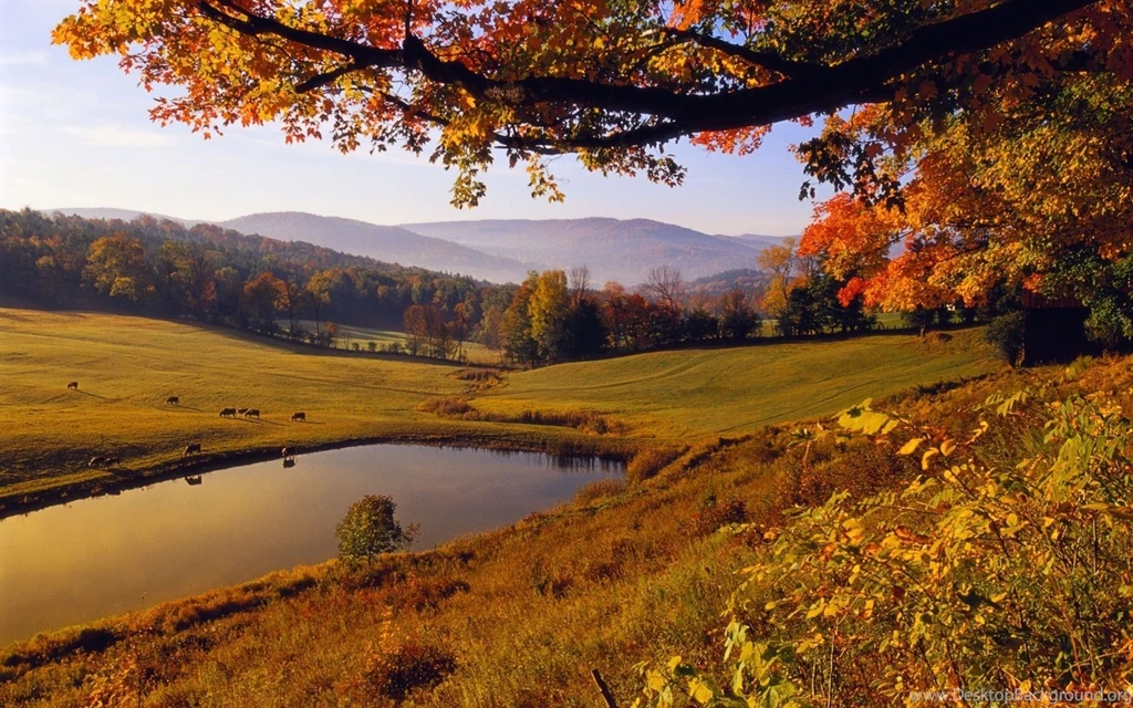 Autumn Wallpapers For Desktop Wallpapers Cave