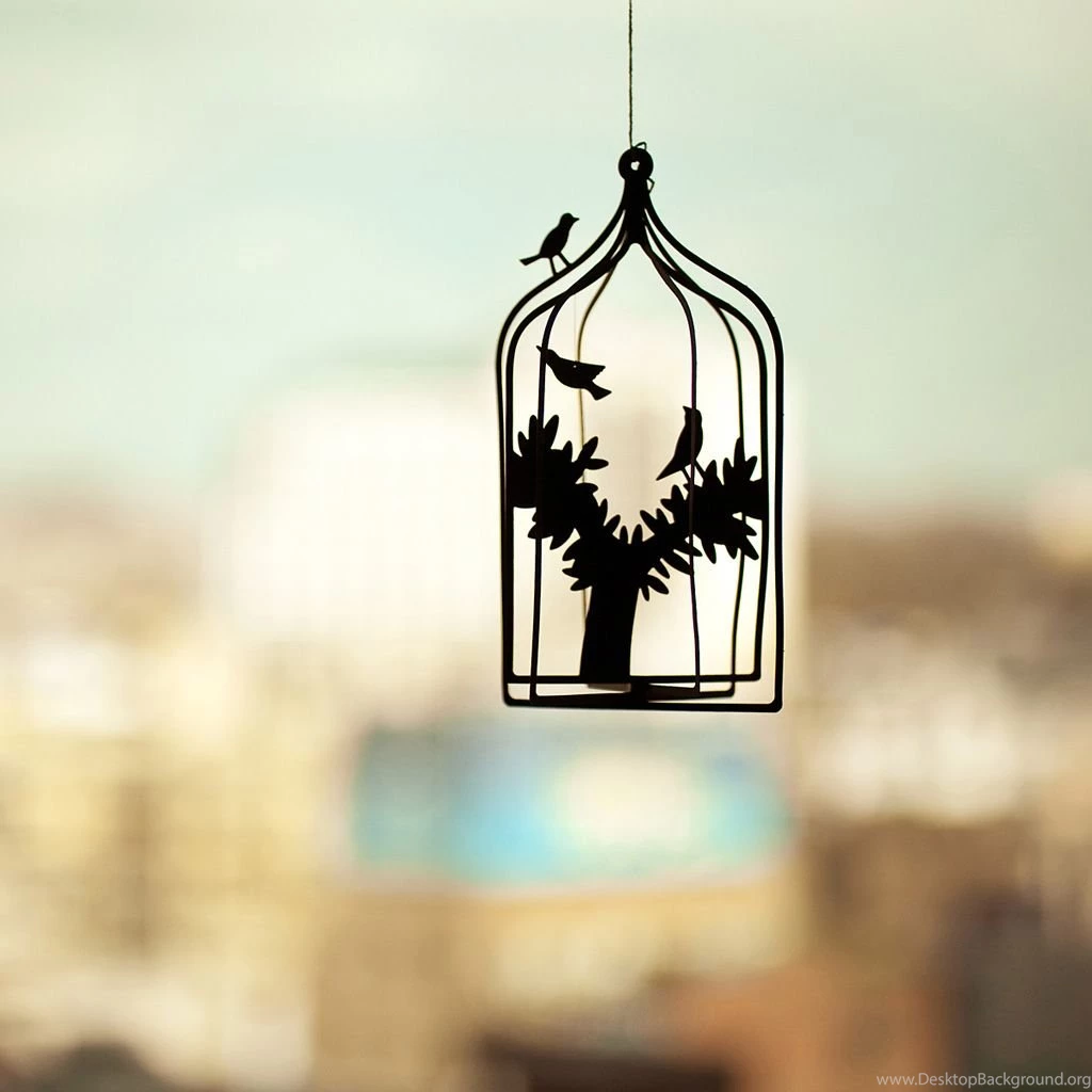 Bird Cage iPad Wallpapers Download