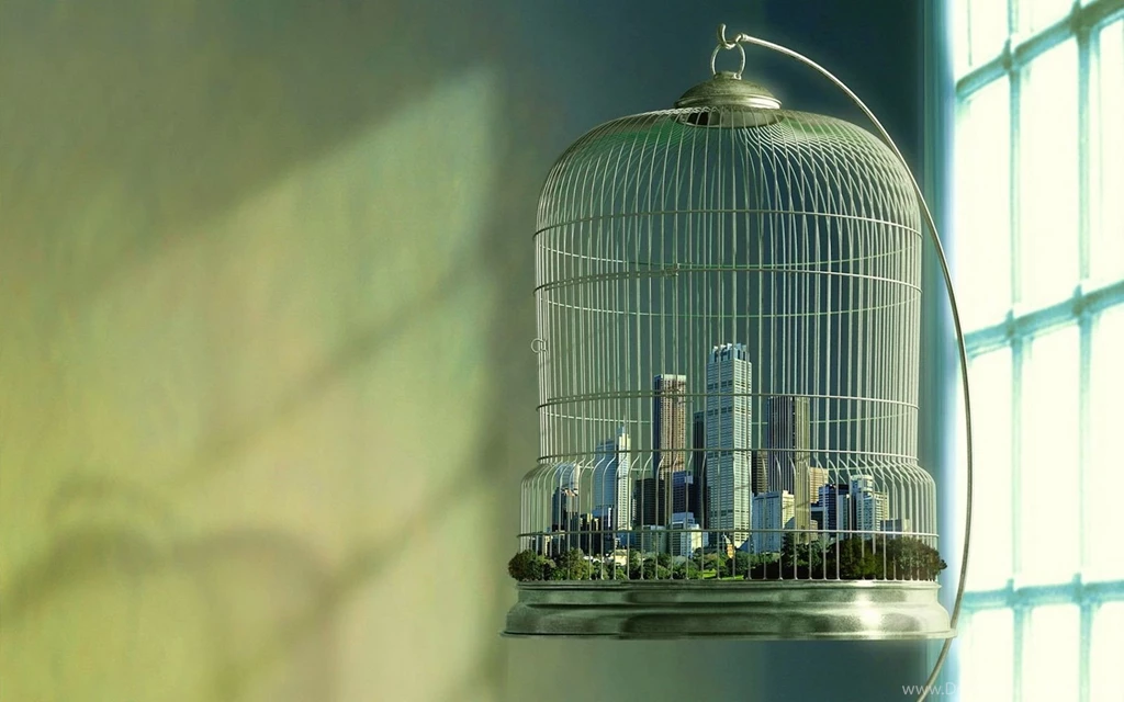 Birdcage City Wallpapers 37173