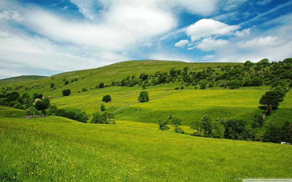 Summer Scenes 6 HD Desktop Wallpapers : Widescreen : High ...