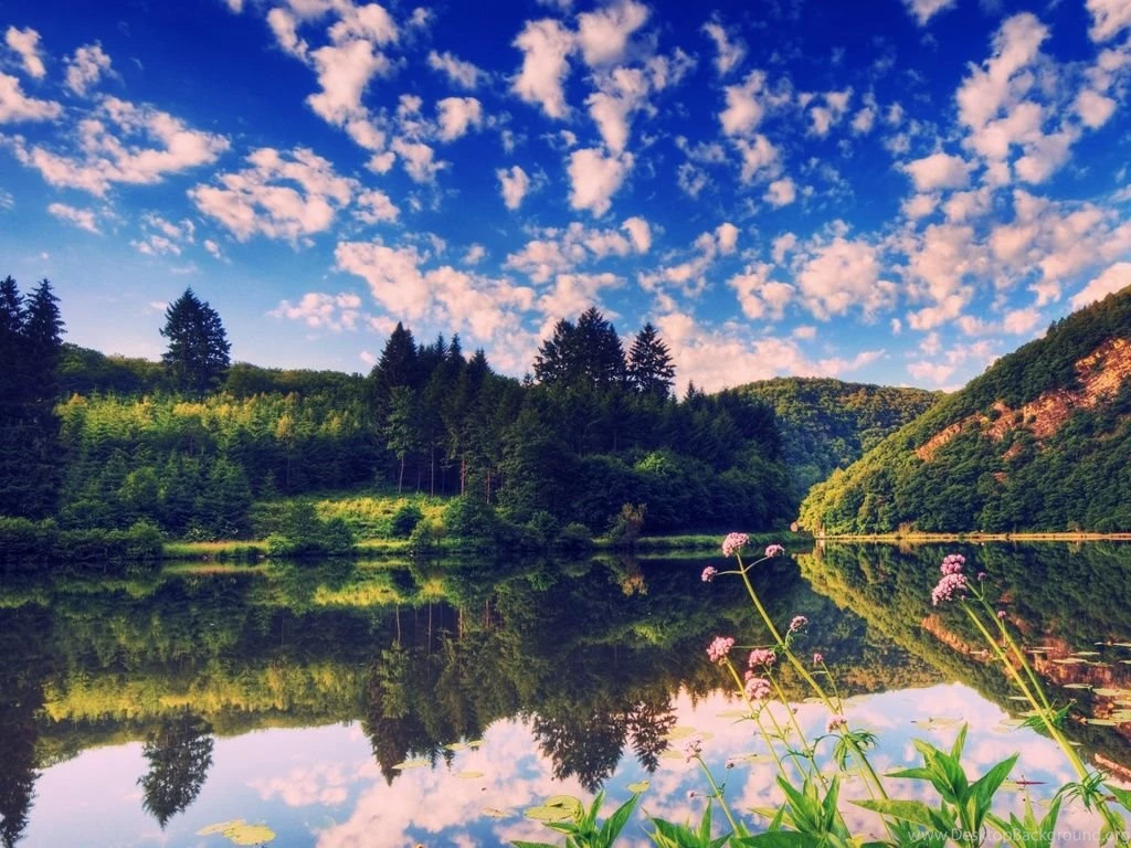 The Nature Of Summer Scene HD Wallpapers Widescreen 1024x768