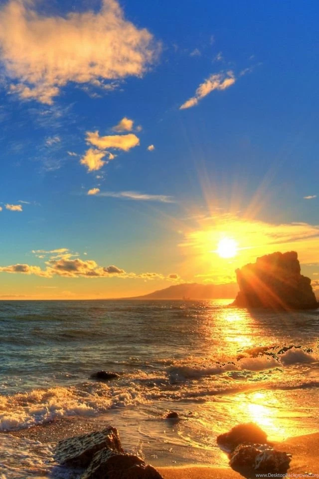 Summer Sunset Scene Mobile Wallpapers   Mobiles Wall