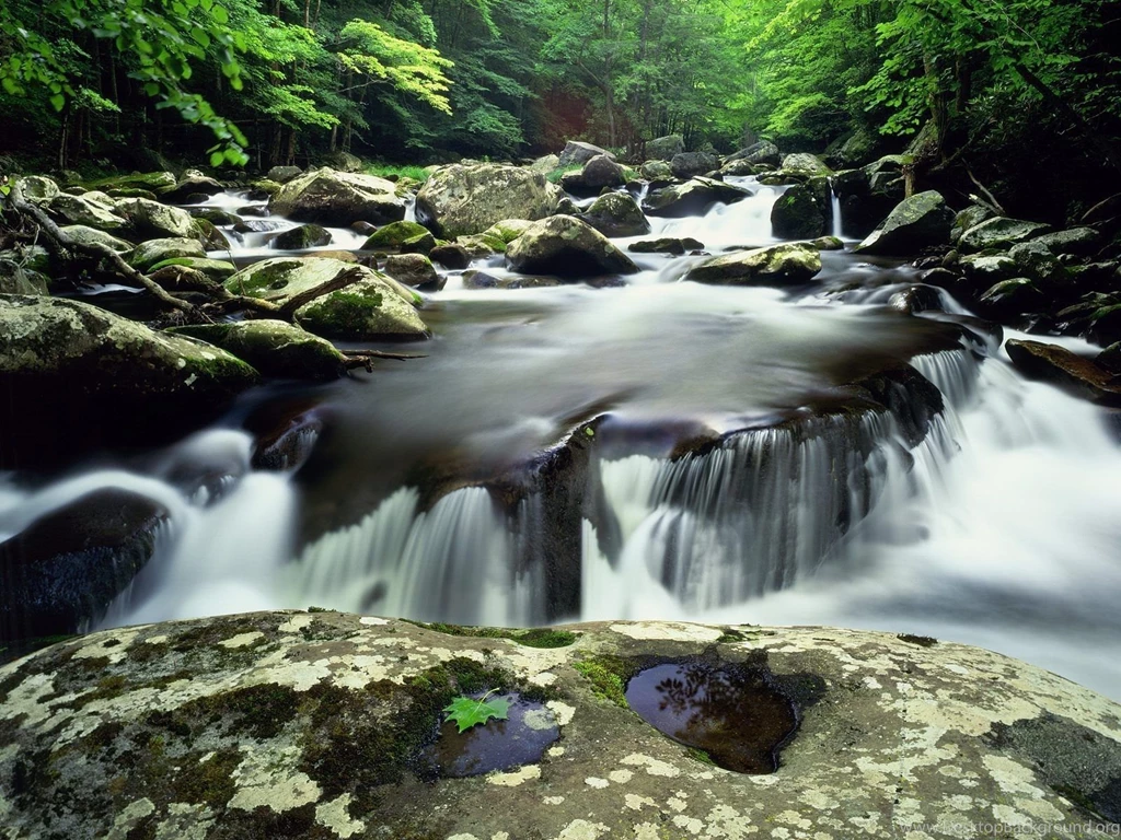 Rivers: Little River Falls Rapids Rocks Summer Scene Middle Prong ...