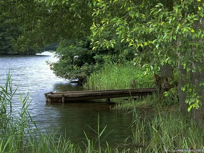 Wonderful Lush Summer Scene Wallpaper65 Wallcoo.net