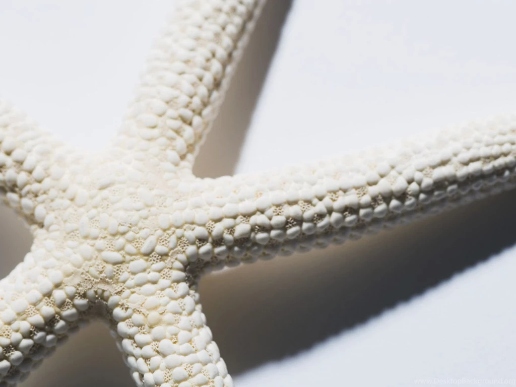 Summer Photography Wallpapers   181444