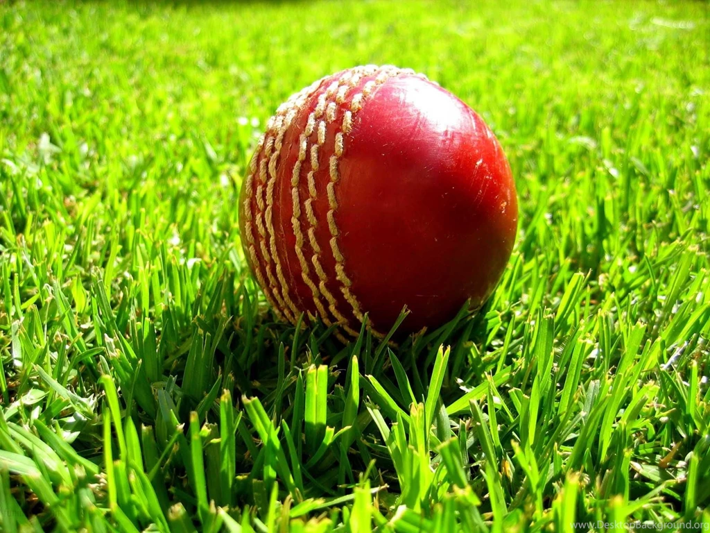 Cricket Wallpapers HD Download
