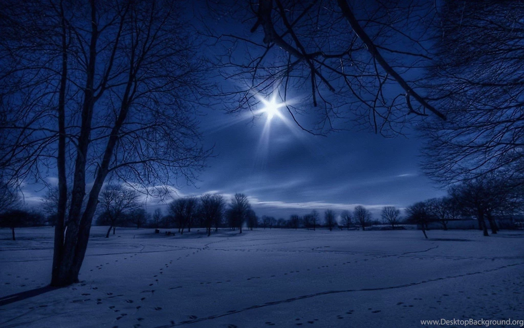 Landscapes Nature Winter Snow Trees Night White Moonlight ...