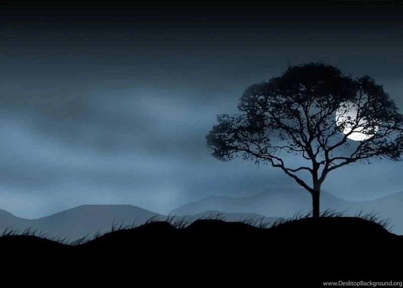 Amazing MooN And MoonLight WallPapers Page 2 Image Gallery ...