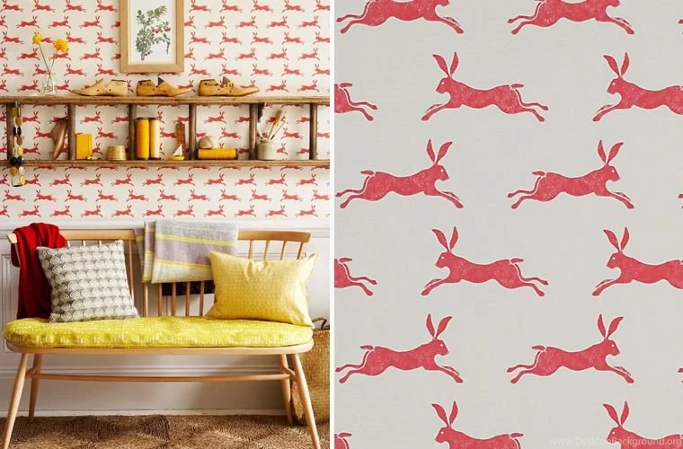 Home Update: Animal Wallpapers