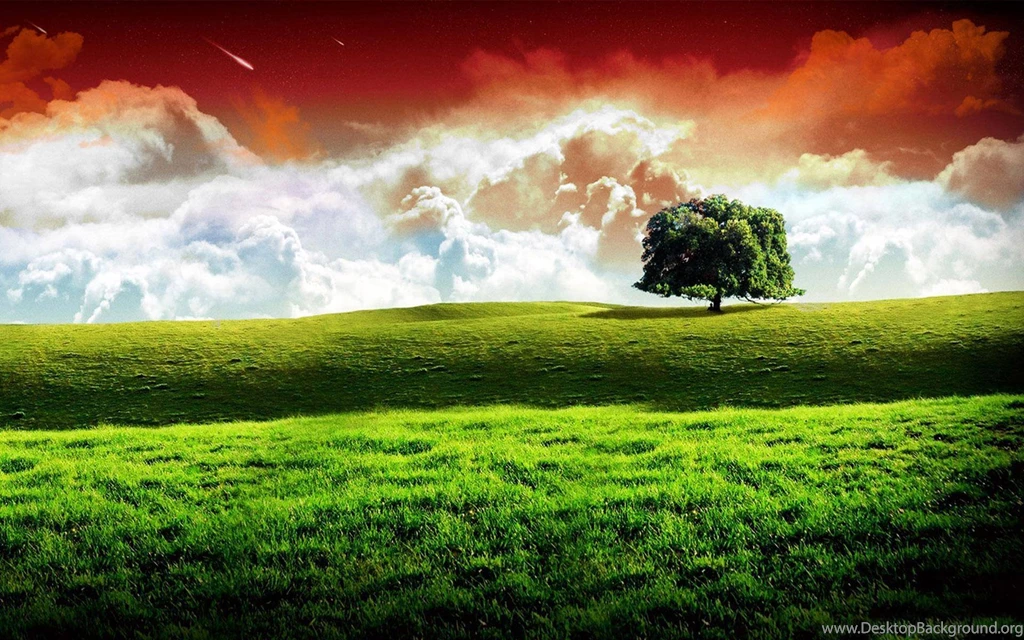 Independence Day Nature Wallpapers Picture