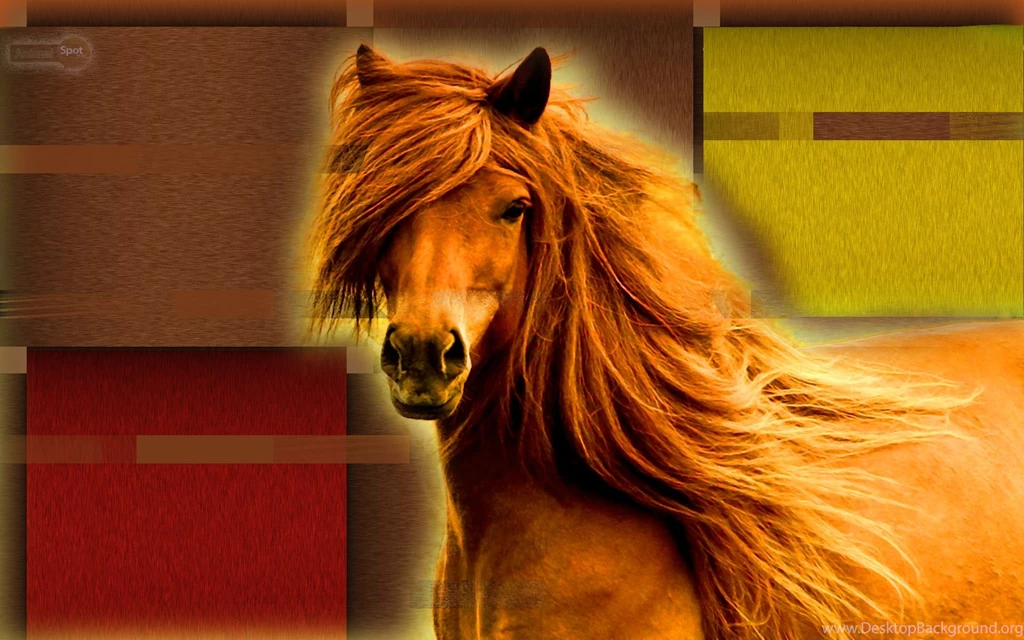 Horse Wallpapers « Animal Spot