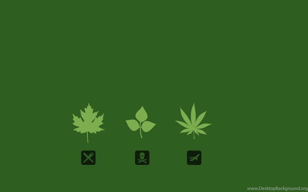 Triple Marijuana.jpg