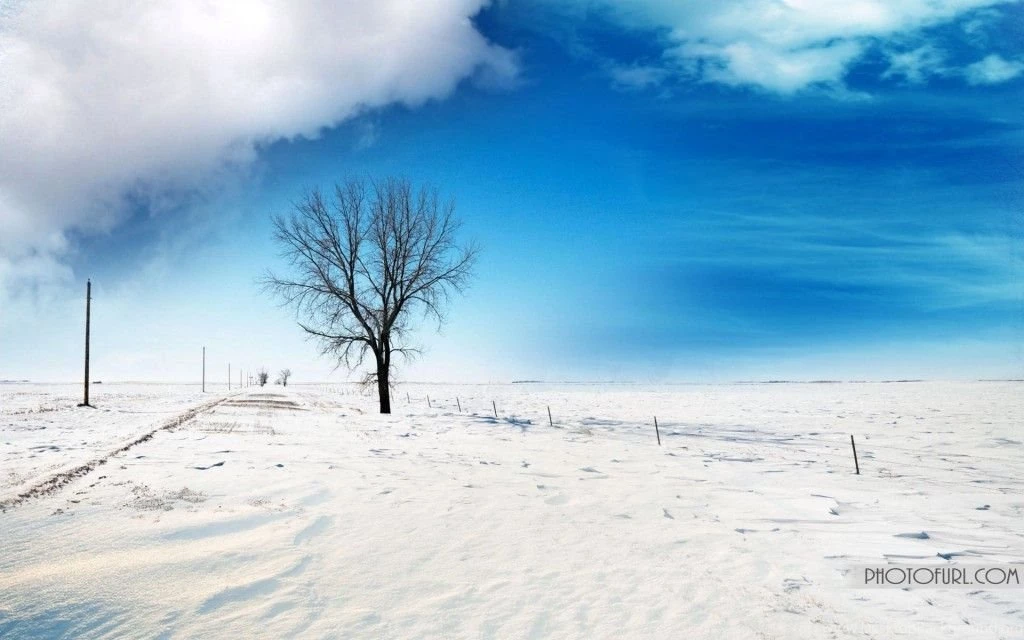Free Winter Wallpapers Download For Computer Desktop Backgrounds ...