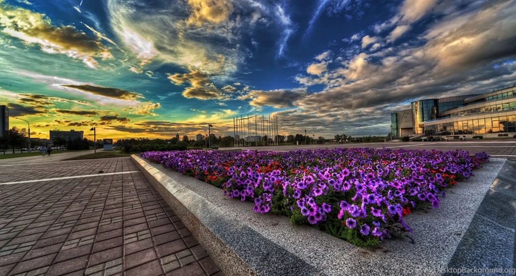 Hd Nature Images, Wallpapers Of Natures, Organic, Fresh Air ...