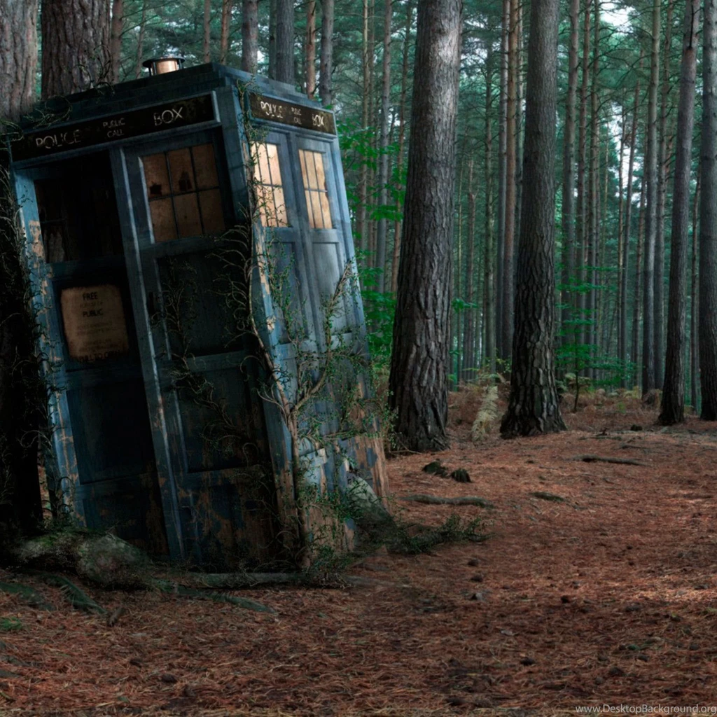Abondoned Tardis In The Forest iPad 3,4 & Air Wallpapers