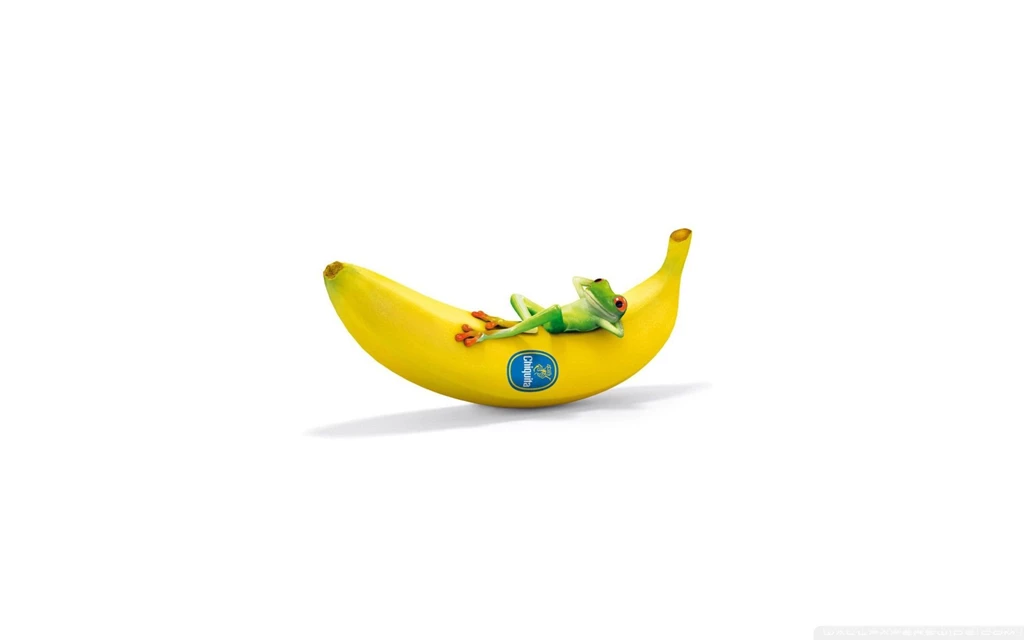 Chiquita With Frog Funny Wallpapers (DESKTOP BACKGROUNDS)