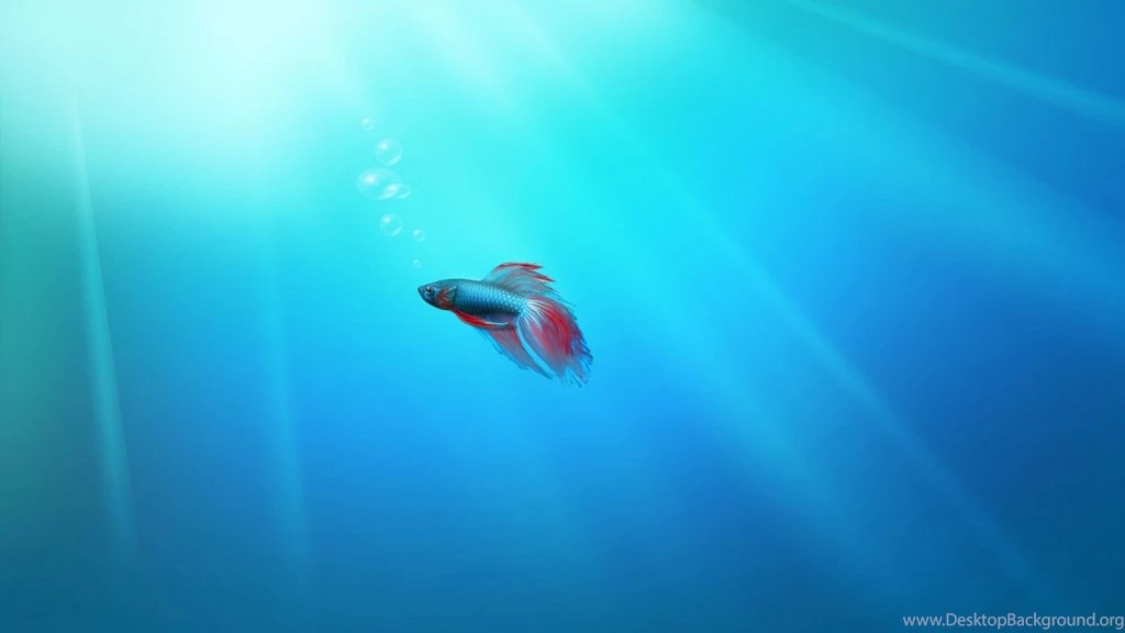 Most Popular HD Wallpapers Page 3