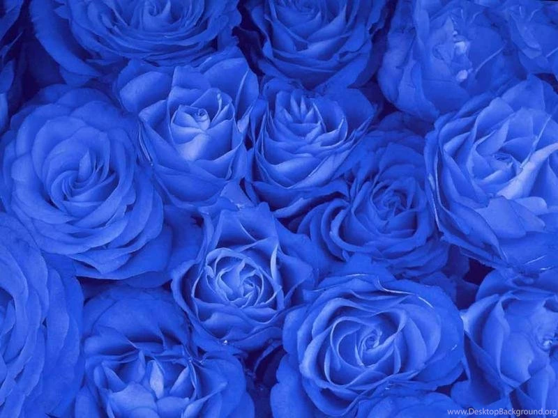 Free Desktop Backgrounds Wallpapers: Only Beautiful Blue Colour ...