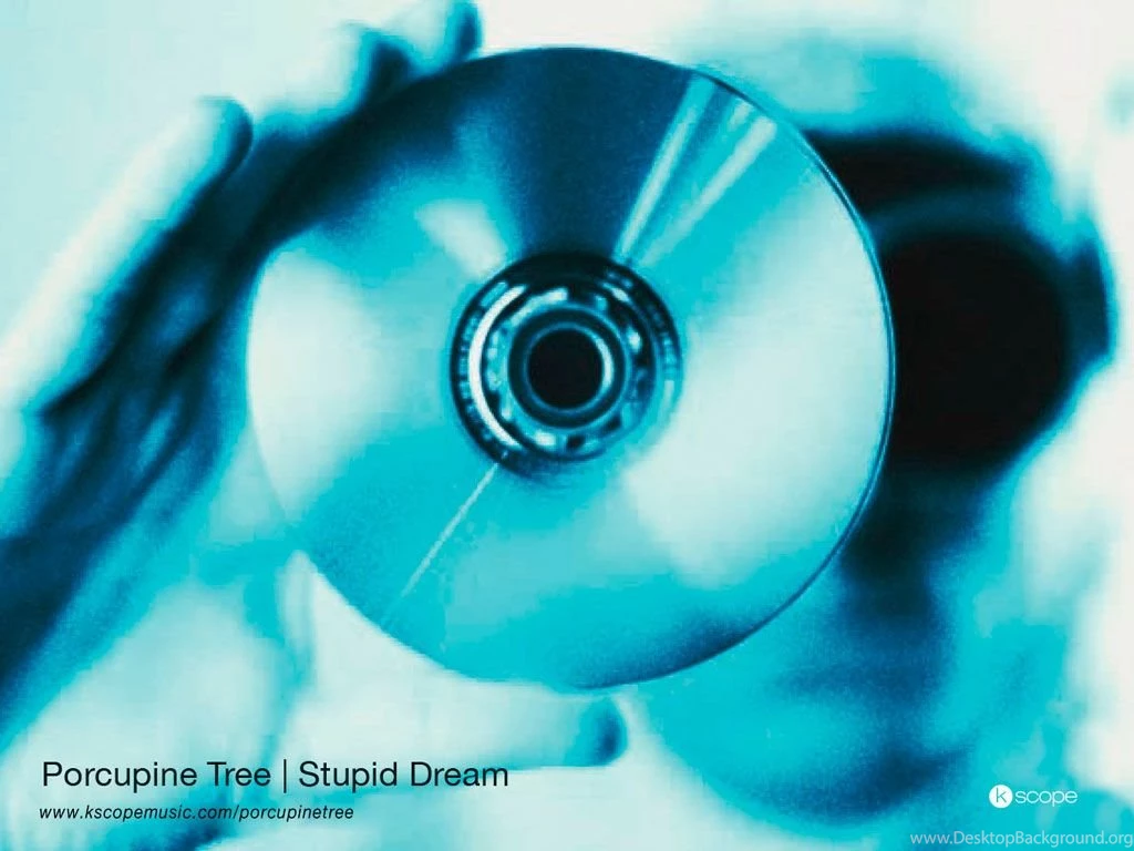 Porcupine Tree Desktop 1024 X 768 Pixels