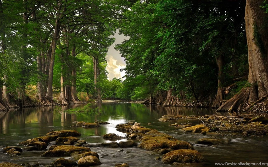 HD Nature Photography Desktop Wallpapers Best HD Desktop ...