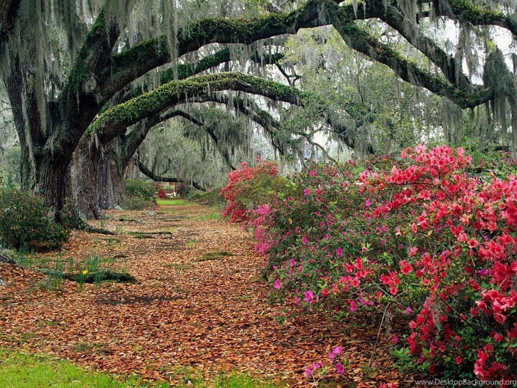 Living Wallpapers For PC Wallpapers Cave