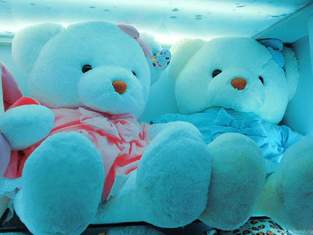 Cute N Lovely Teddy Bear Awesome Wallpapers