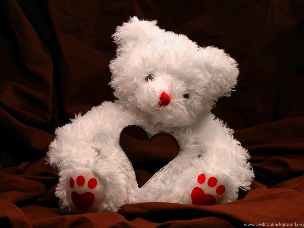 Funadress+white+teddy+bear+1.jpg