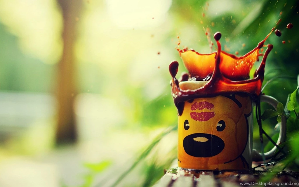 Cup Teddy Bear Coffee Spray Splash HD Wallpapers FreeWallsUp