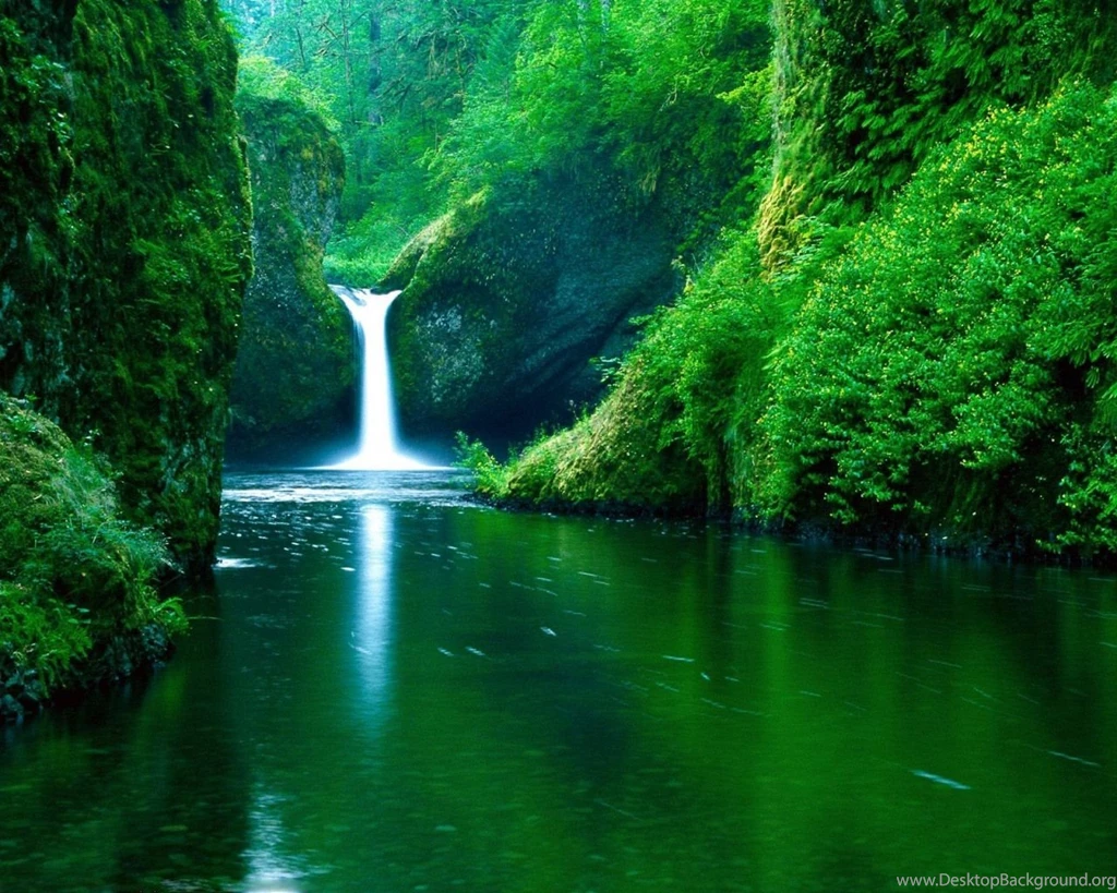Beautiful Nature Wallpapers With Trees And Grass