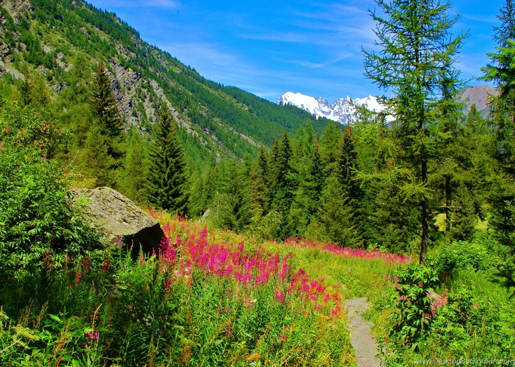 Hd Wallpapers, Nature Images, Green, Life, Fresh Air, Healthy ...