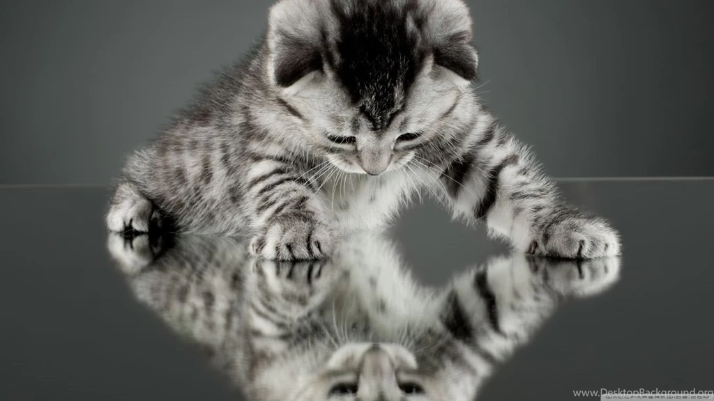 Strange Way To See The Things HD Desktop Wallpapers : Widescreen ...