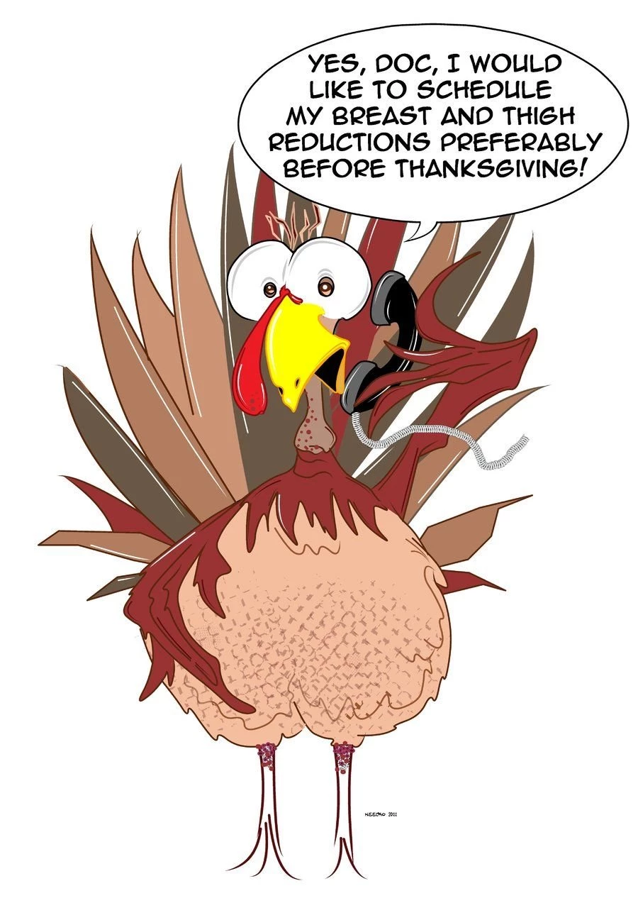 Funny Thanksgiving Turkey Pictures   Wallpapers HD Fine