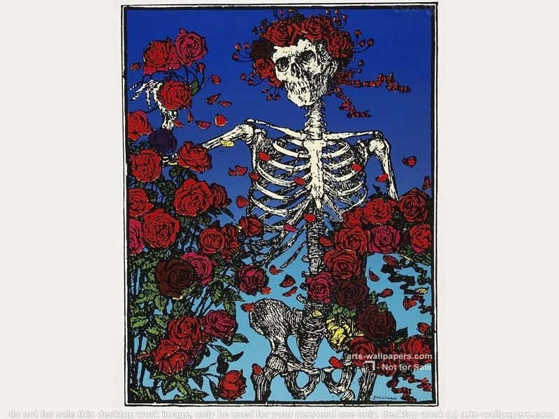 Grateful Dead Wallpapers Greatful Dead Images, Pictures, Photos ...
