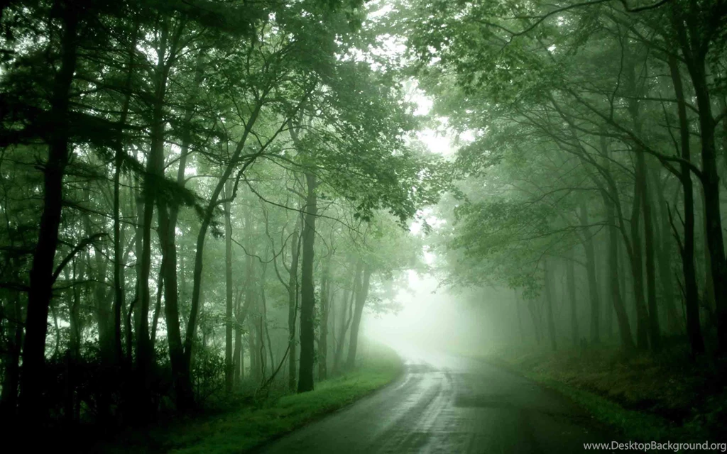 Latest Nature Wallpapers Free Download Wallpapers HD Base