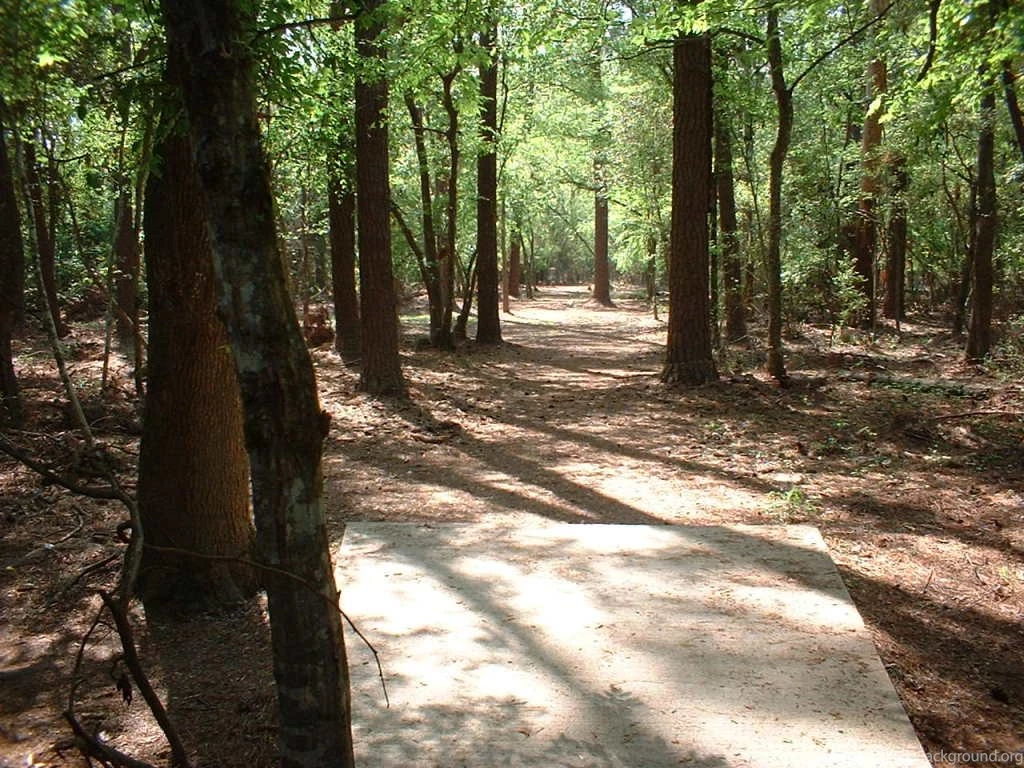 Post A Cool Disc Golf Photo [Archive]   Page 15   Disc Golf Course ...