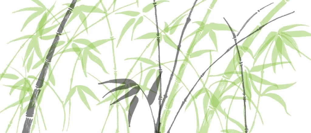 Bamboo Backgrounds By Akibutt On DeviantArt