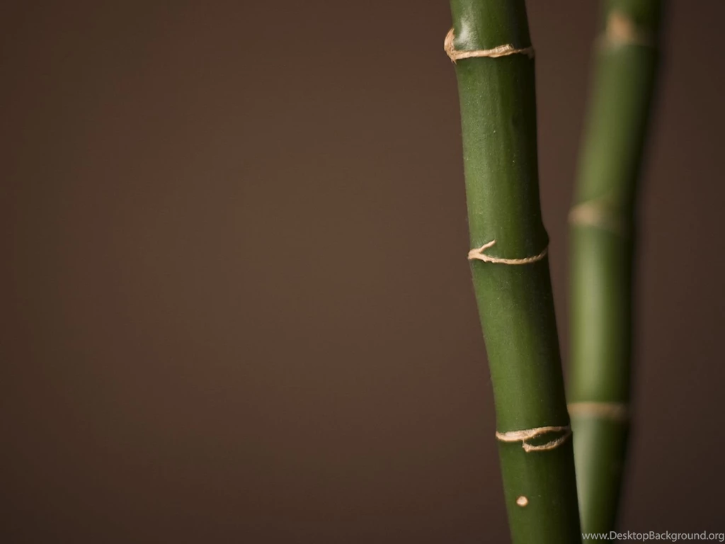 Bamboo Backgrounds Wallpapers 172691