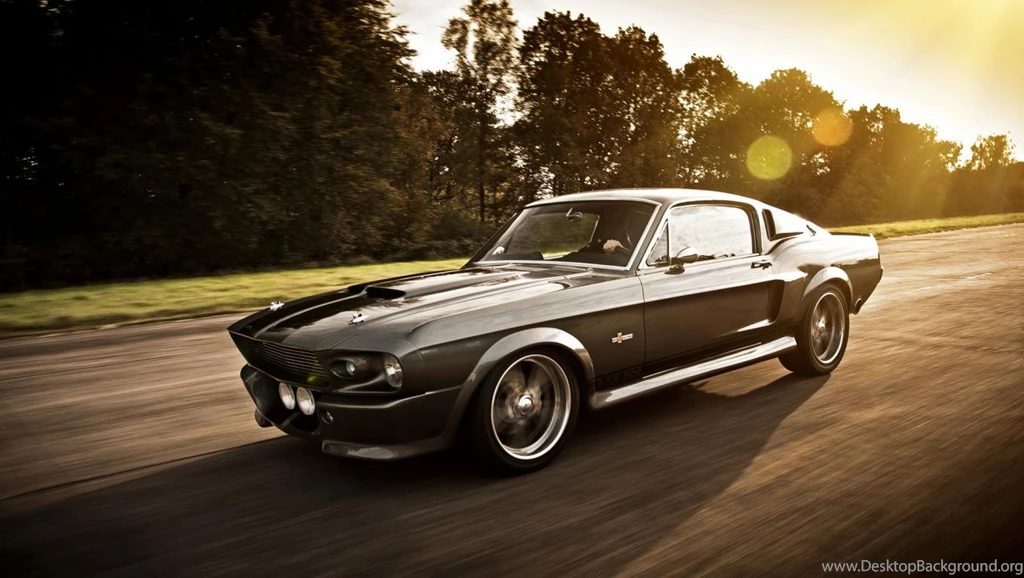 Hd Wallpapers Eleanor Ford Mustang Backgrounds Wallpapers For Your ...