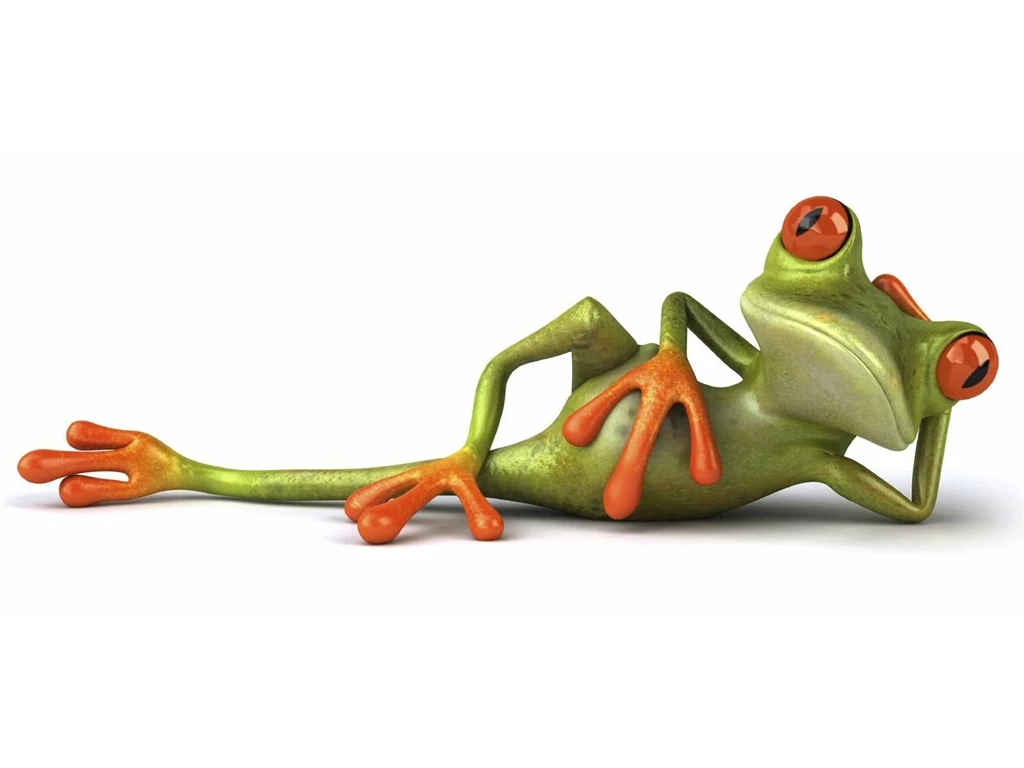 3D Animal Images HD Images New