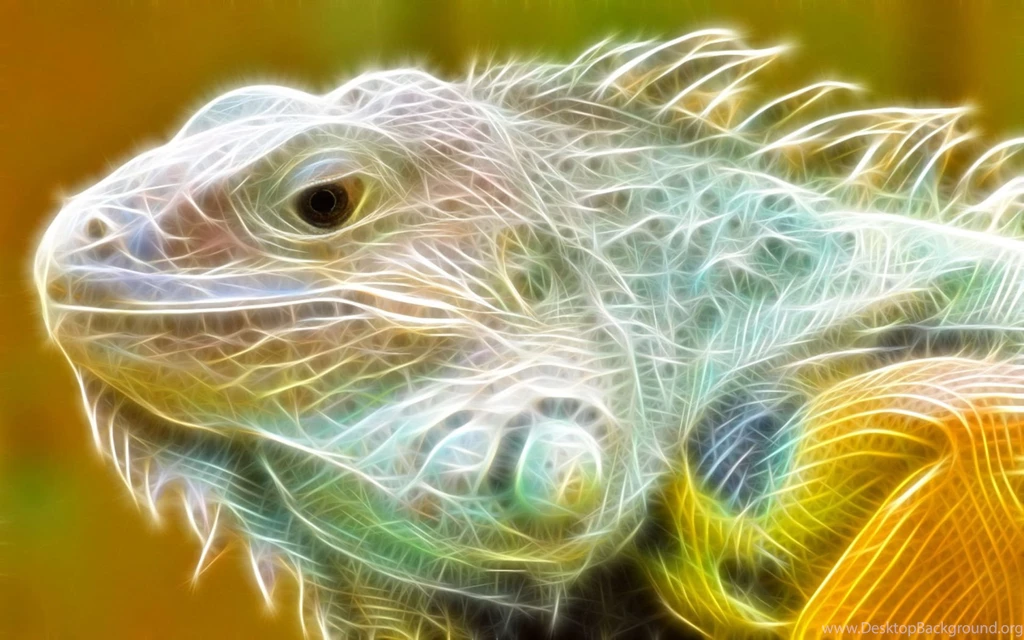 3D Abstract Lugana Lizard Animals Wallpapers Desktop.jpg