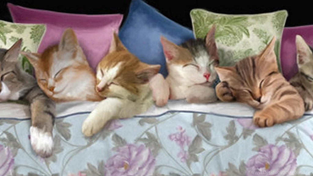 Good Night HD Wallpapers Free Download