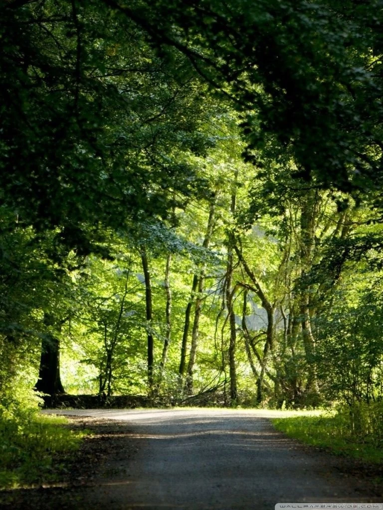 Nature Landscape 50 HD Desktop Wallpapers : Widescreen : High ...