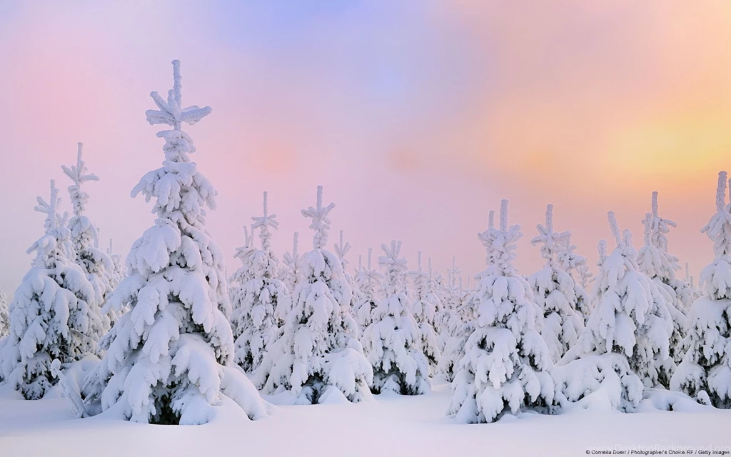 New Windows Themes For The Beginning Of Winter