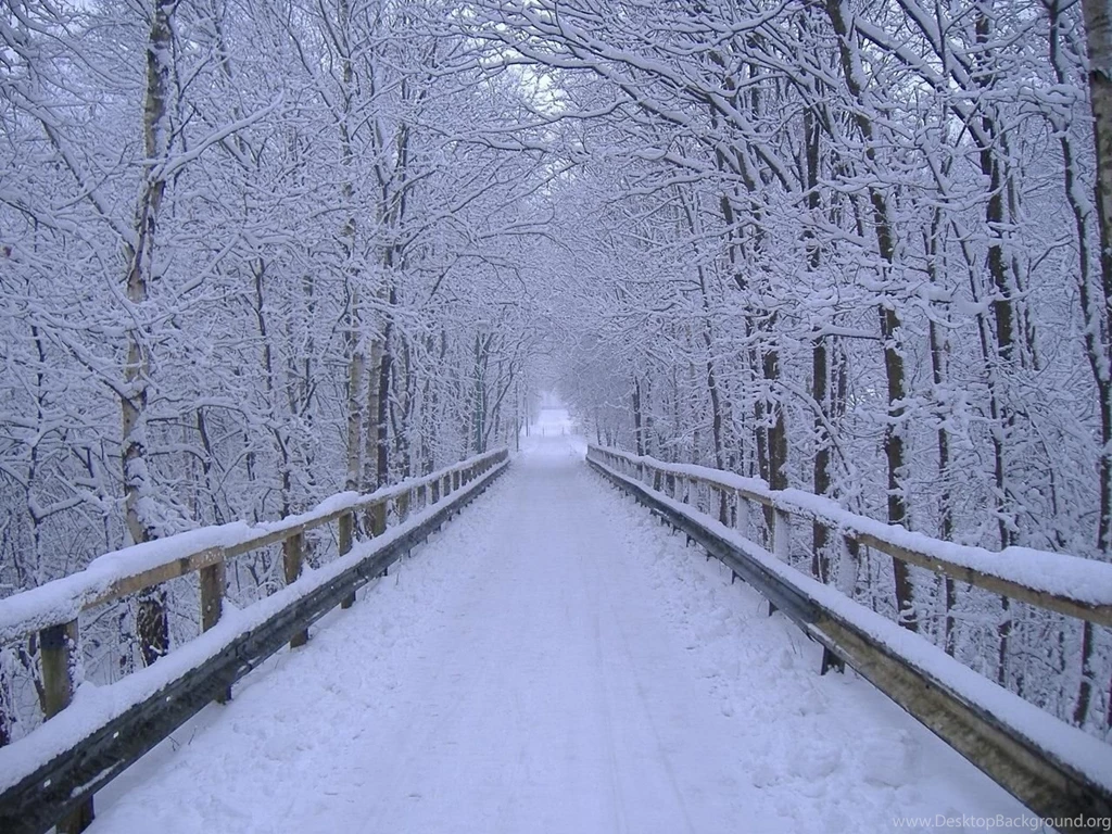 Winter Scenes for Desktop Wallpapers 9.jpg