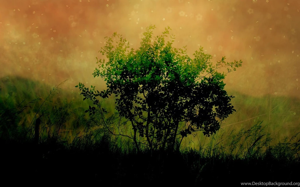 Free Mobile Downloads: HD WALLPAPER'S COLLECTION 3 DIRECT DOWNLOAD