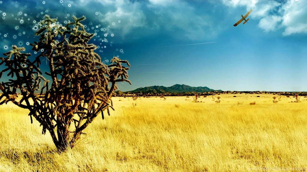 3D Beautiful Wallpapers