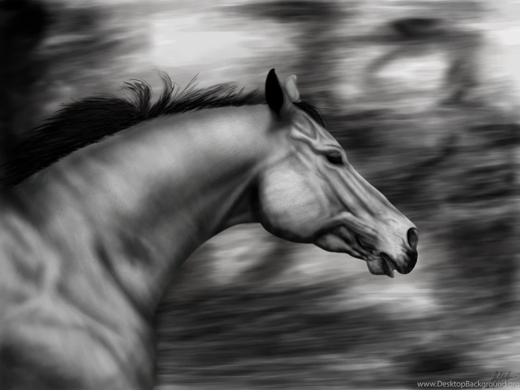 3d Animal Wallpapers For Desktop. Dog 3d Wallpapers Desktop ...