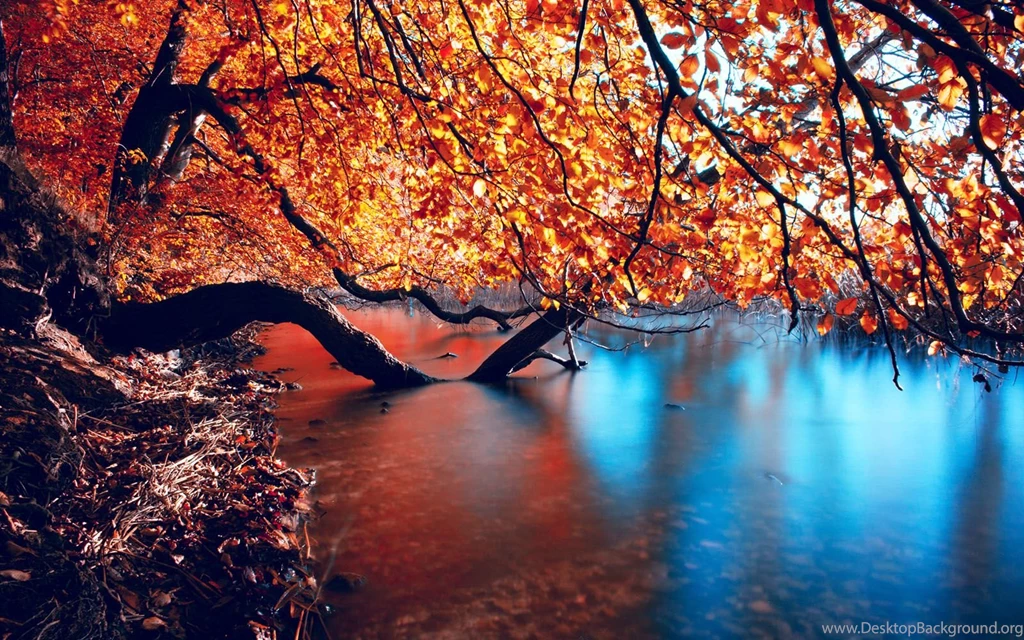 Wallpapers: Photography Wallpapers For Desktop